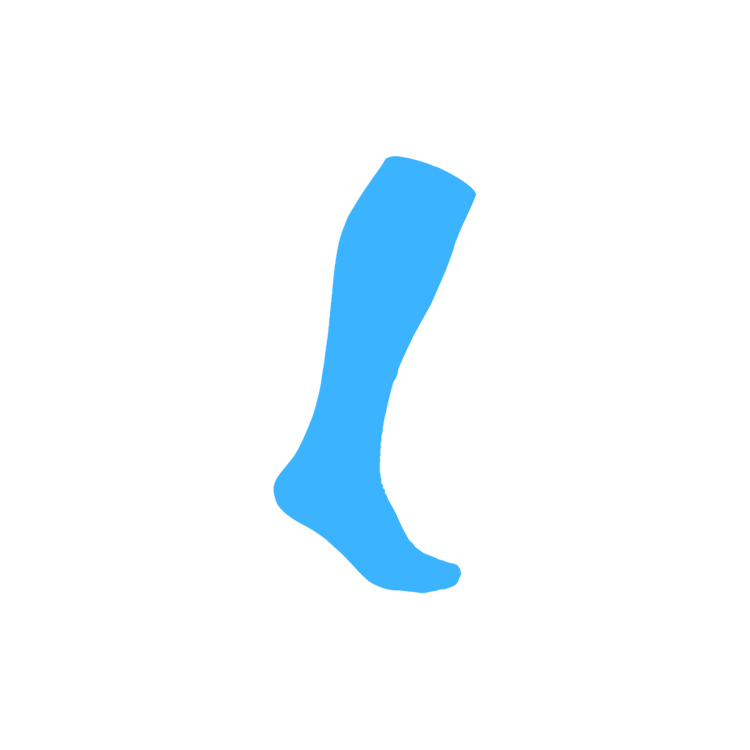 Flowsocks logo